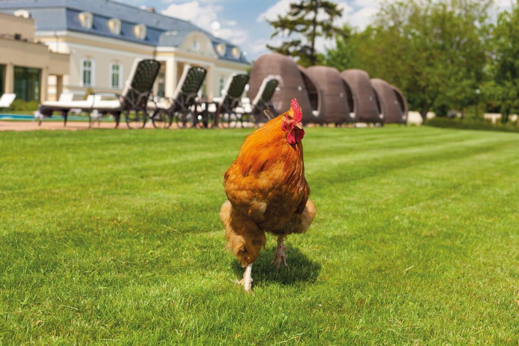 Amade Chateau Vrakun ภายนอก รูปภาพ